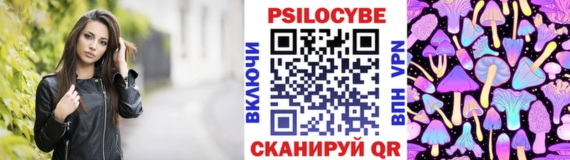 Купить  Качканар  Псилоцибиновые грибы MAGIC MUSHROOMS 